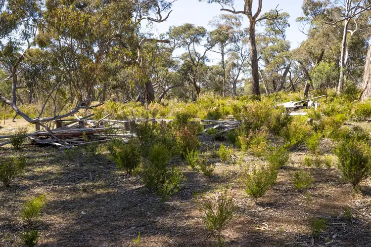 Fourth view of Homely rural property listing, CA 1 Claude Austin No1 Track, Rocklands VIC 3401