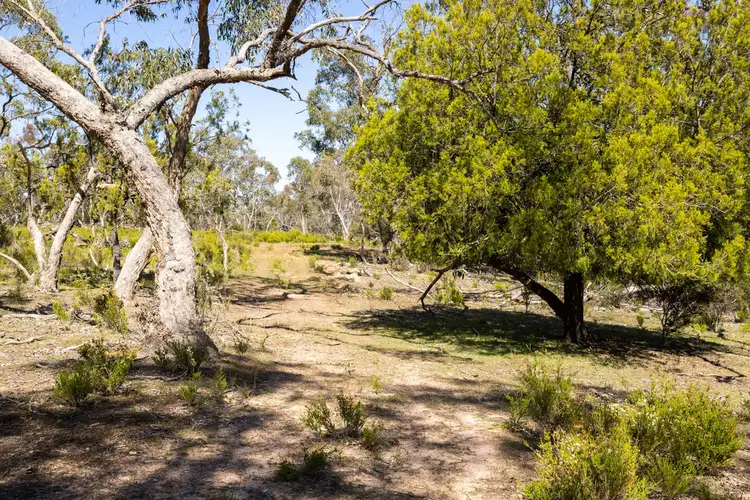 Fifth view of Homely rural property listing, CA 1 Claude Austin No1 Track, Rocklands VIC 3401