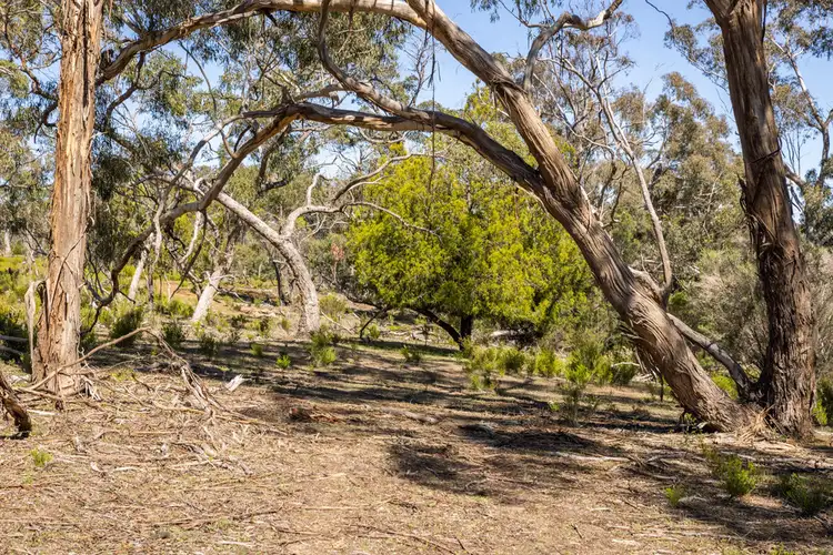 Sixth view of Homely rural property listing, CA 1 Claude Austin No1 Track, Rocklands VIC 3401