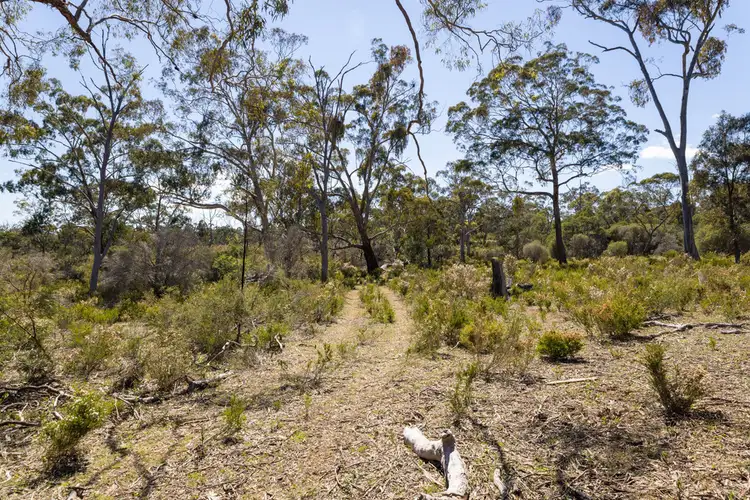 Seventh view of Homely rural property listing, CA 1 Claude Austin No1 Track, Rocklands VIC 3401
