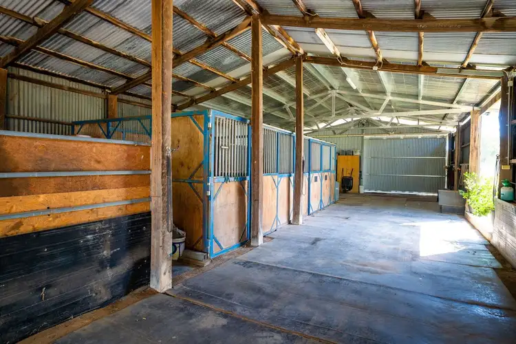Third view of Homely rural property listing, 13798 HUME HIGHWAY, Mullengandra NSW 2644