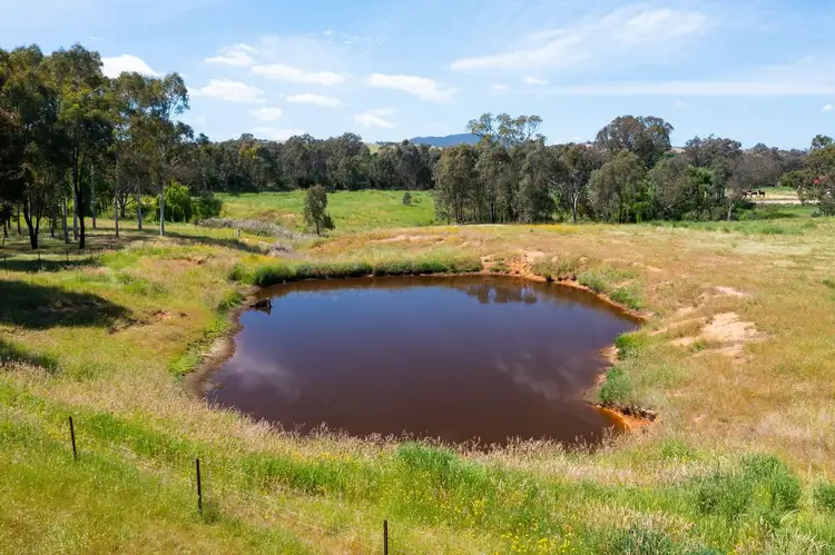 Sixth view of Homely rural property listing, 13798 HUME HIGHWAY, Mullengandra NSW 2644