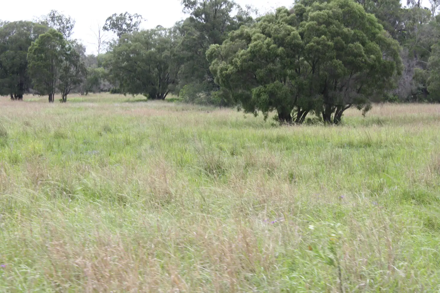 Main view of Homely rural property listing, Address available on request