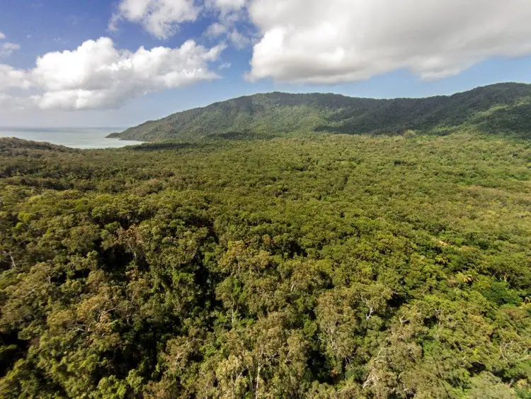Third view of Homely land listing, 233 White Beech Rd, Daintree QLD 4873