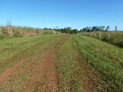 Fourth view of Homely rural property listing, Address available on request