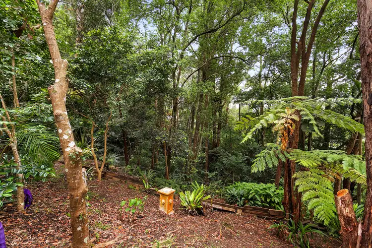 Sixth view of Homely house listing, 6 King Street, Ourimbah NSW 2258