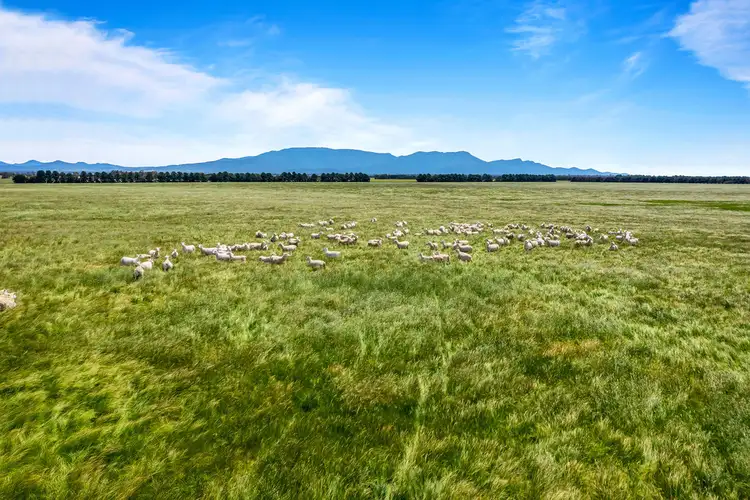 Fifth view of Homely rural property listing, ' Kalymna West' Andrews Lane, Maroona VIC 3377