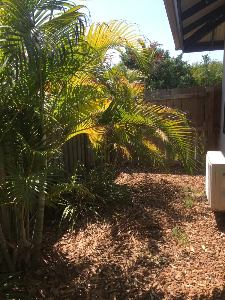 Main view of Homely unit listing, 3A Larja Link, Cable Beach WA 6726