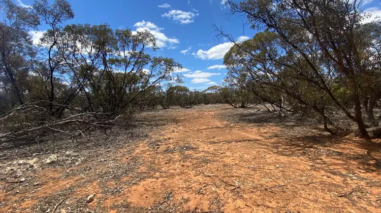 Sixth view of Homely rural property listing, A76 Cockshell Road, Bowhill SA 5238