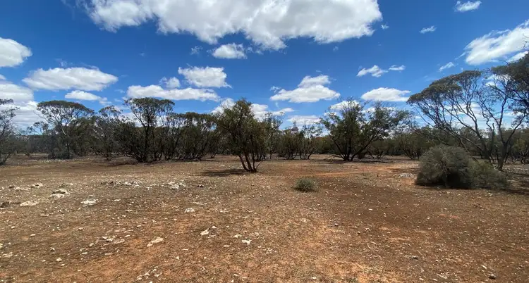 Seventh view of Homely rural property listing, A76 Cockshell Road, Bowhill SA 5238