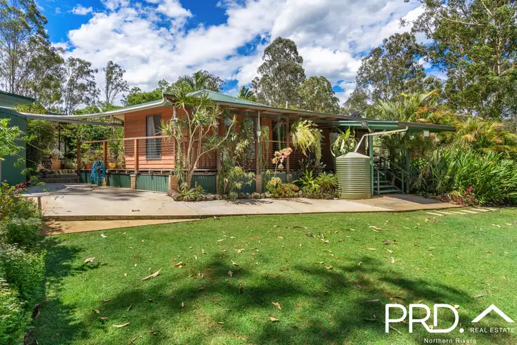 Second view of Homely rural property listing, 845 Mongogarie Road, Leeville NSW 2470