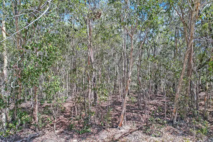 Sixth view of Homely land listing, Lot 299 Masthead Drive, Agnes Water QLD 4677