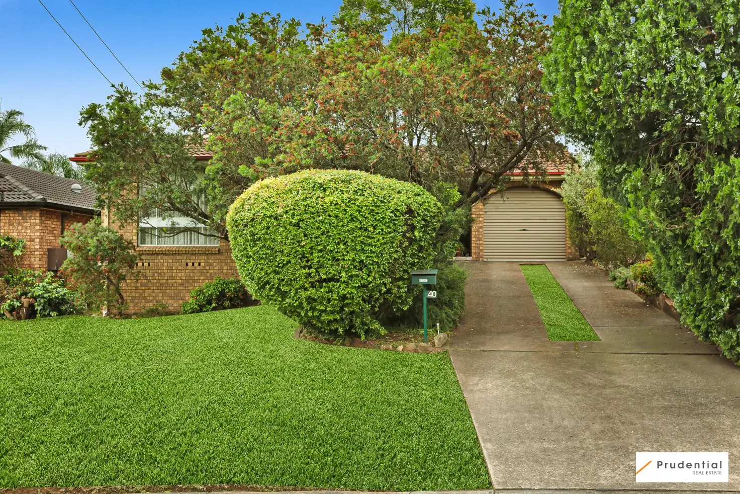 Main view of Homely house listing, 40 Wilson Crescent, Narellan NSW 2567