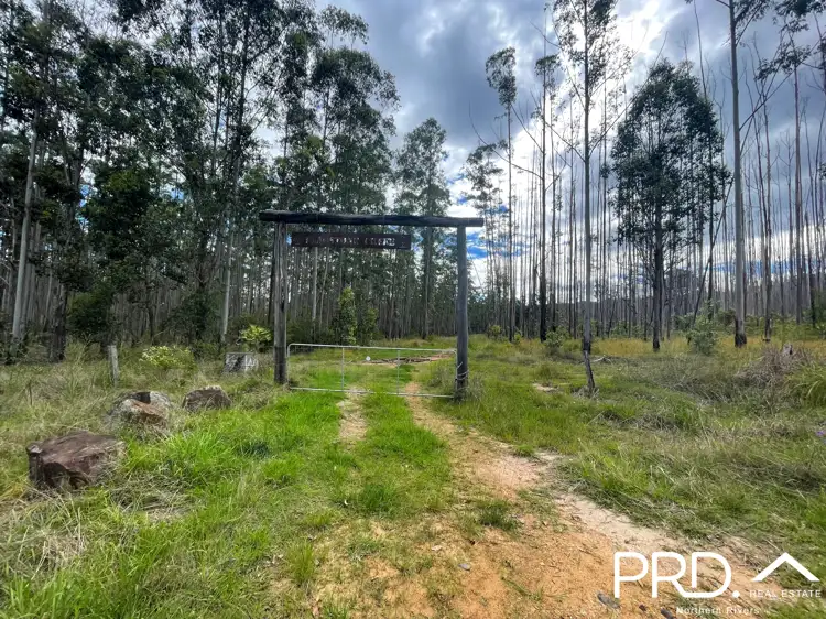 Main view of Homely rural property listing, 4609 Paddys Flat Road, Upper Tooloom NSW 2475