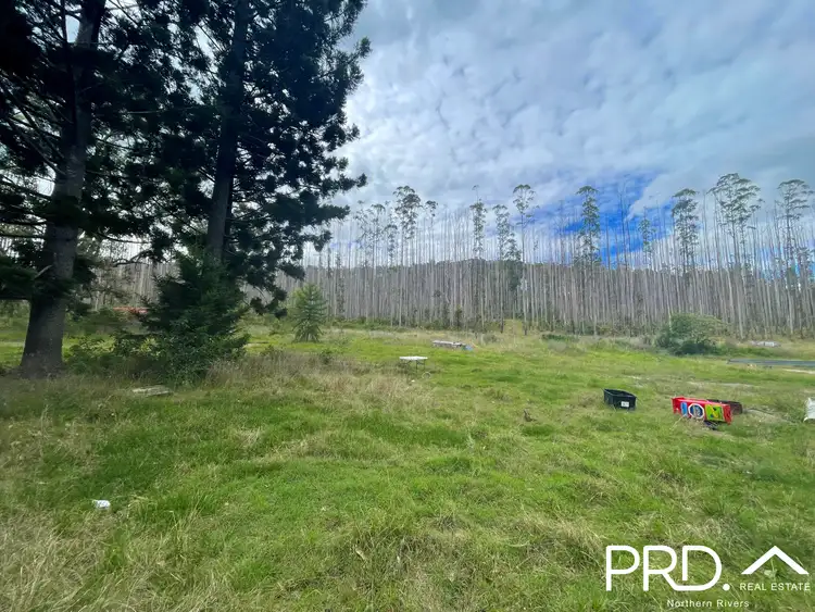 Fifth view of Homely rural property listing, 4609 Paddys Flat Road, Upper Tooloom NSW 2475