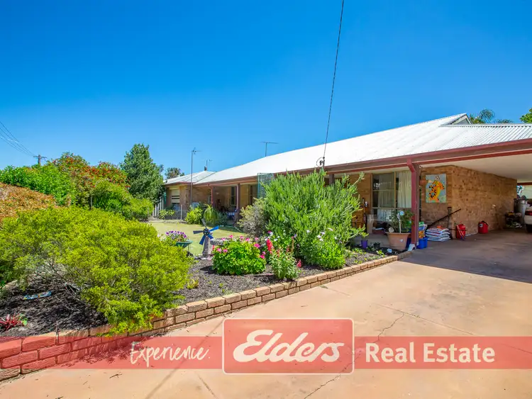 6 MARMION STREET, Donnybrook WA 6239