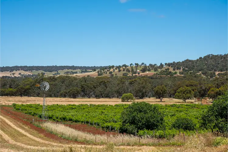Second view of Homely rural property listing, 149 Bindoon Moora Road, Bindoon WA 6502