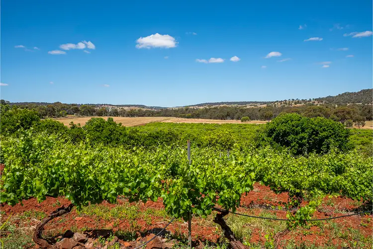 Fifth view of Homely rural property listing, 149 Bindoon Moora Road, Bindoon WA 6502