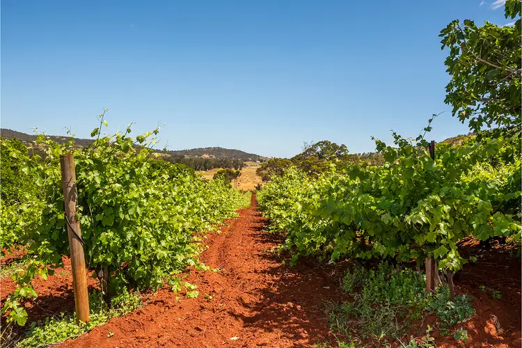 Sixth view of Homely rural property listing, 149 Bindoon Moora Road, Bindoon WA 6502