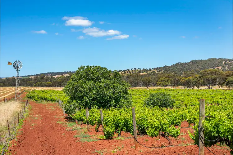 Seventh view of Homely rural property listing, 149 Bindoon Moora Road, Bindoon WA 6502