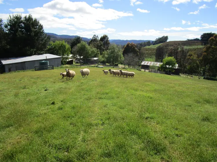 Second view of Homely rural property listing, 92 Cradle Mountain Road, Wilmot TAS 7310