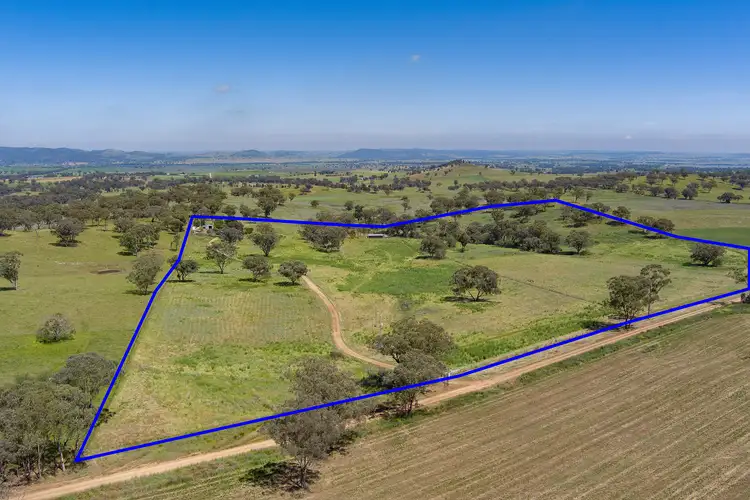 Fourth view of Homely rural property listing, 70 Hillside Lane, Gulgong NSW 2852