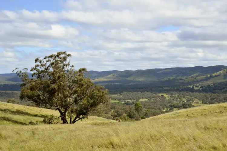 Fourth view of Homely rural property listing, 1453 Windeyer Road, Mudgee NSW 2850