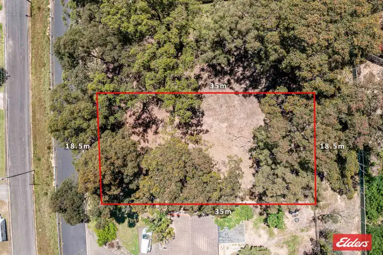Sixth view of Homely land listing, 51 ALBATROSS ROAD, Catalina NSW 2536