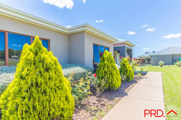 Fifth view of Homely house listing, 5 Daintree Circuit, Tamworth NSW 2340