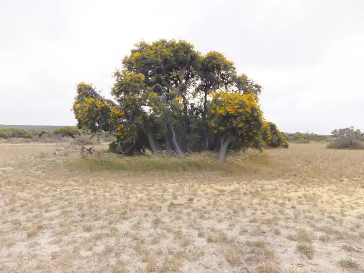 Fifth view of Homely land listing, LOT 227 Banksia Road, Hopetoun WA 6348