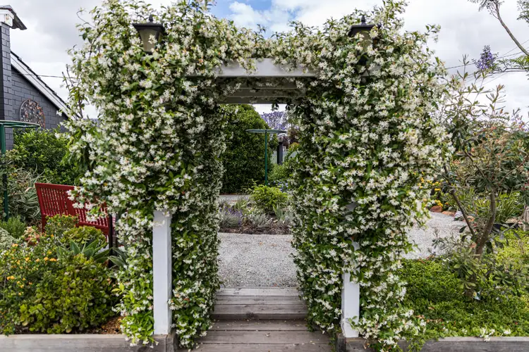 Second view of Homely house listing, 3 Grevillea Place, Pinjarra WA 6208