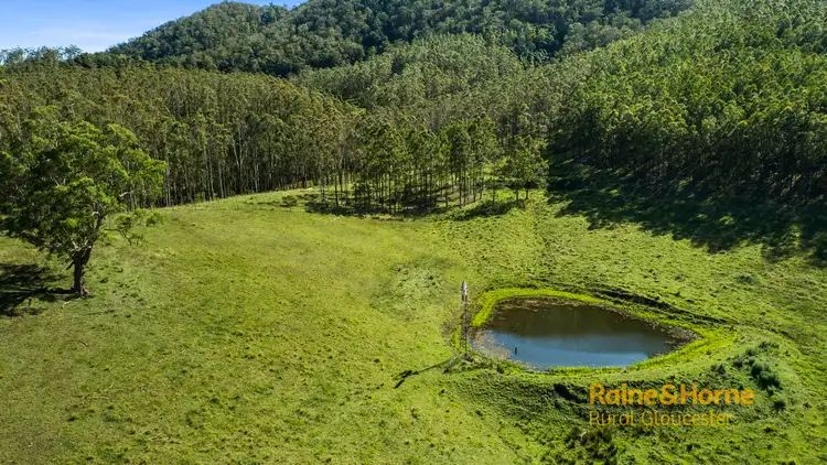 Third view of Homely rural property listing, 177 Waukivory Road, Gloucester NSW 2422