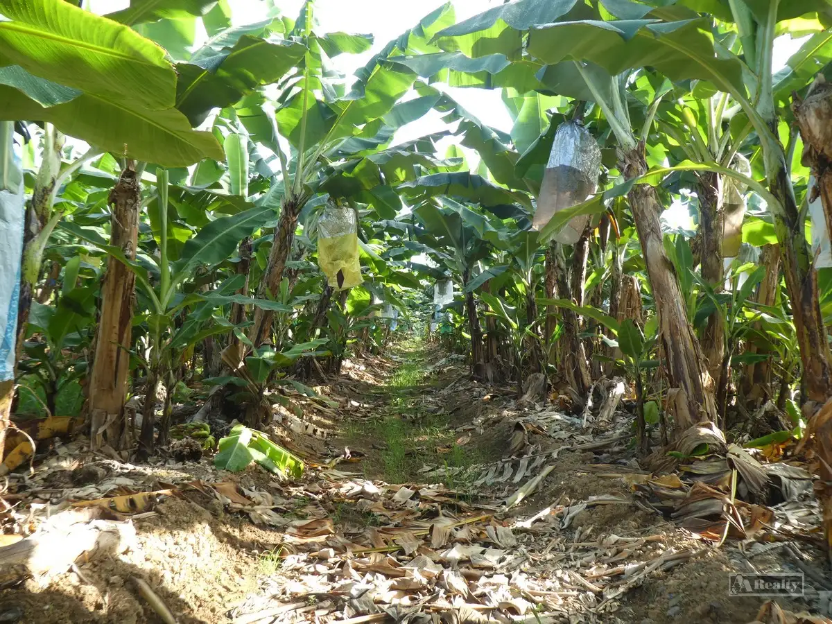 Main view of Homely rural property listing, Address available on request