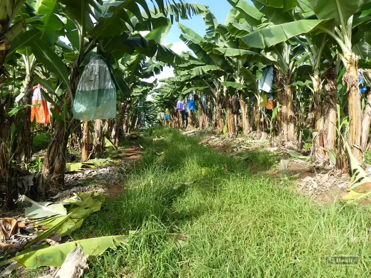 Third view of Homely rural property listing, Address available on request