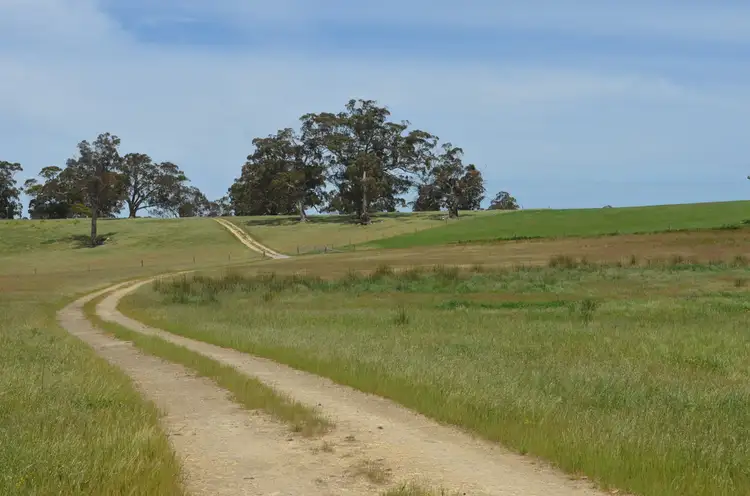 Second view of Homely rural property listing, 151 STOTTS LANE, Naracoorte SA 5271