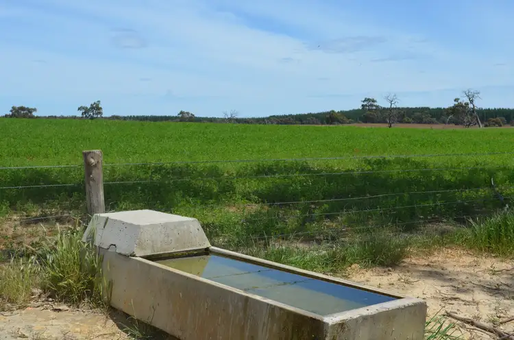 Third view of Homely rural property listing, 151 STOTTS LANE, Naracoorte SA 5271