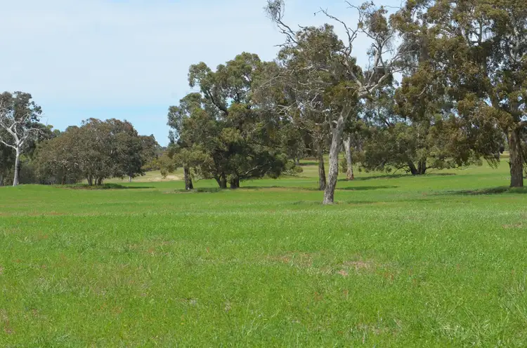 Fifth view of Homely rural property listing, 151 STOTTS LANE, Naracoorte SA 5271