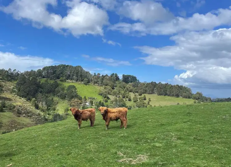 Third view of Homely rural property listing, 305 Nippards Track, Foster VIC 3960