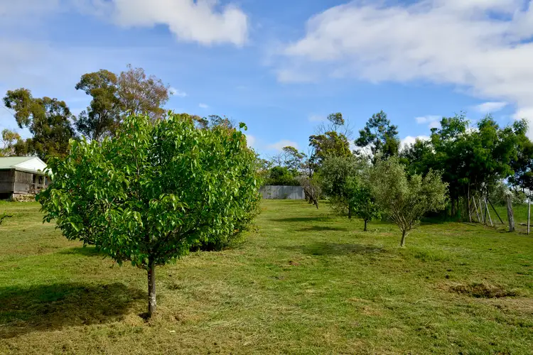 Fifth view of Homely house listing, 39 Delmore Road, Forcett TAS 7173