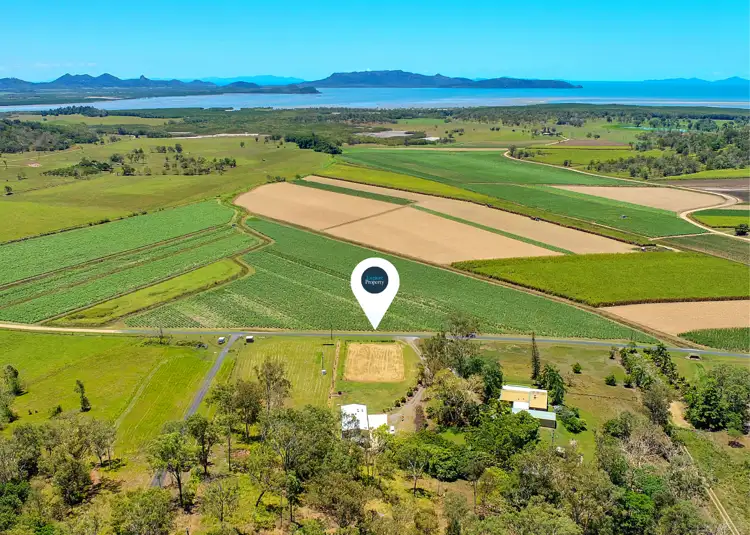 223 Olletts Road, Habana QLD 4740