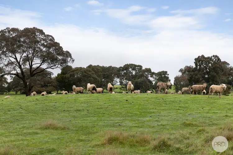 Seventh view of Homely rural property listing, Lot 130D Linton-Naringhil Road, Linton VIC 3360