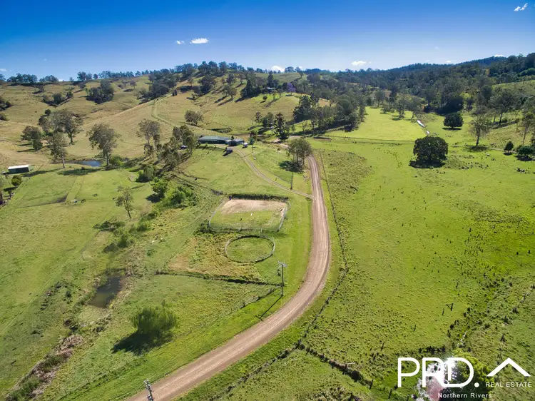 Second view of Homely rural property listing, 127 Apple Gum Road, Wyneden NSW 2474