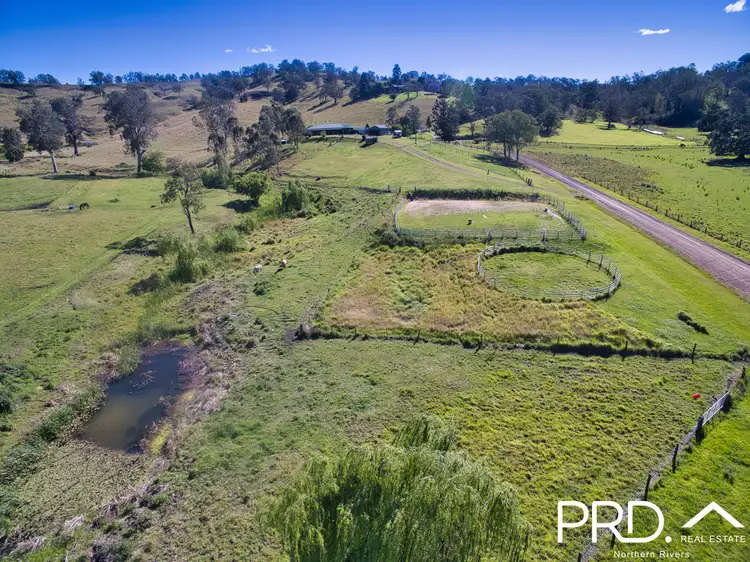 Fourth view of Homely rural property listing, 127 Apple Gum Road, Wyneden NSW 2474