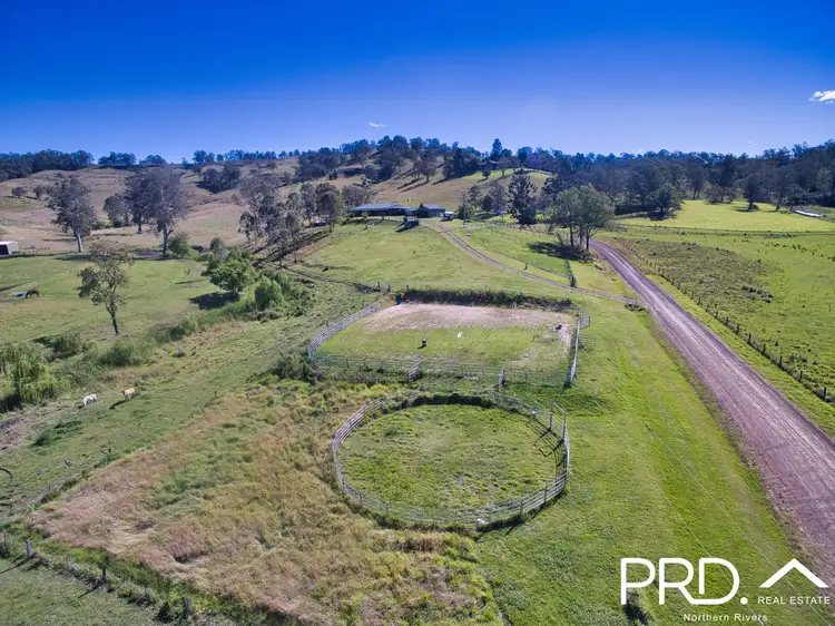 Fifth view of Homely rural property listing, 127 Apple Gum Road, Wyneden NSW 2474