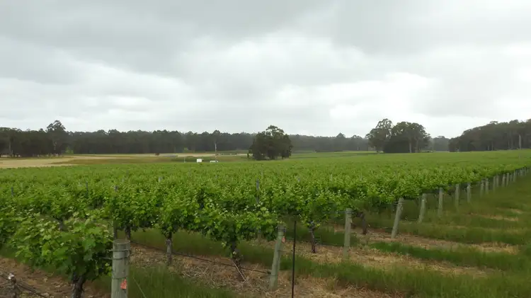 Third view of Homely rural property listing, 1700 Osmington Road, (Osmington), Margaret River WA 6285