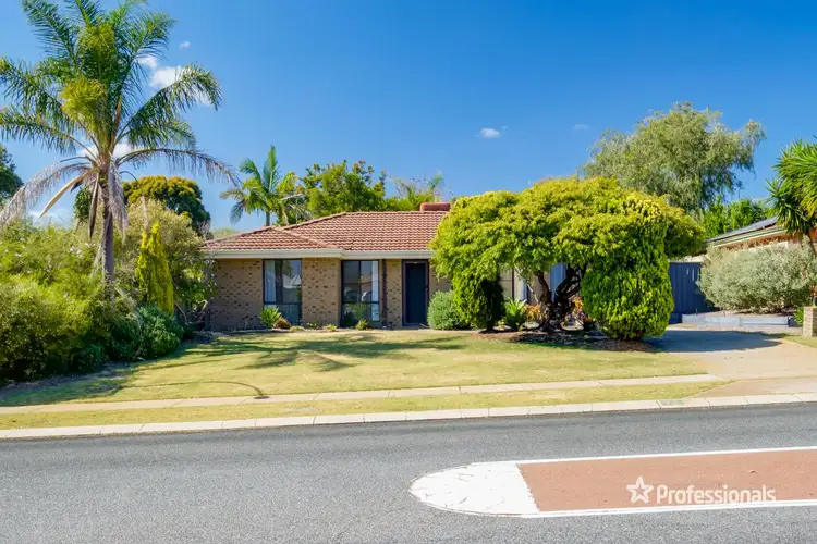Main view of Homely house listing, 11 Whitcombe Way, Alexander Heights WA 6064