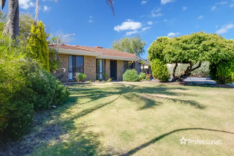 Second view of Homely house listing, 11 Whitcombe Way, Alexander Heights WA 6064