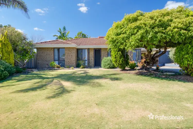 Third view of Homely house listing, 11 Whitcombe Way, Alexander Heights WA 6064