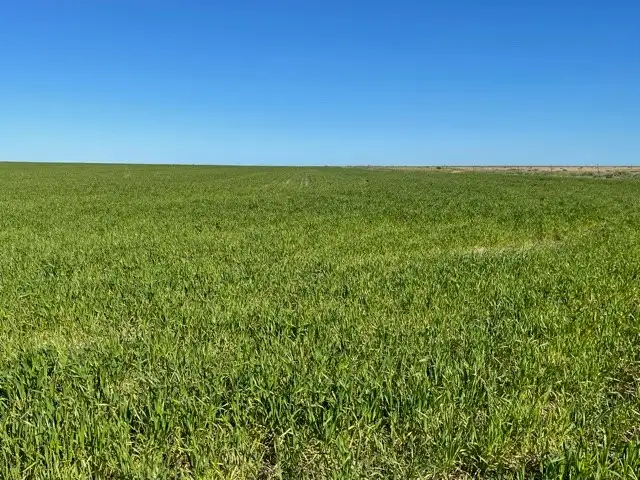 Main view of Homely rural property listing, 1147 Brand Mudge Rd, Eganu WA 6515