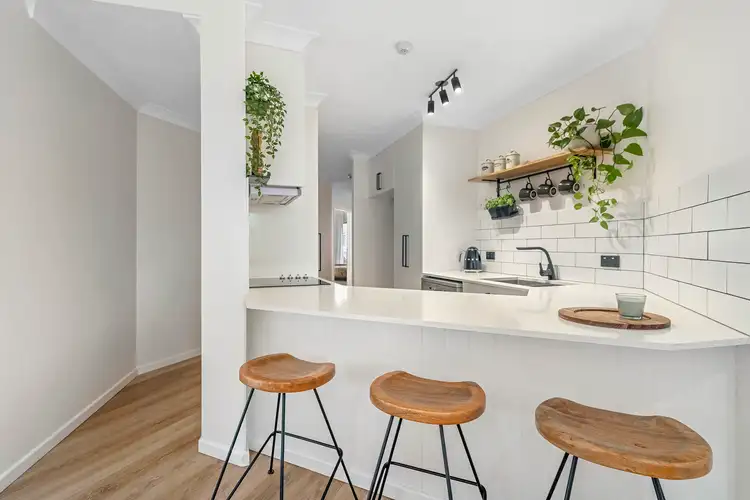 Main view of Homely apartment listing, 12/14 Jefferson Lane, Palm Beach QLD 4221